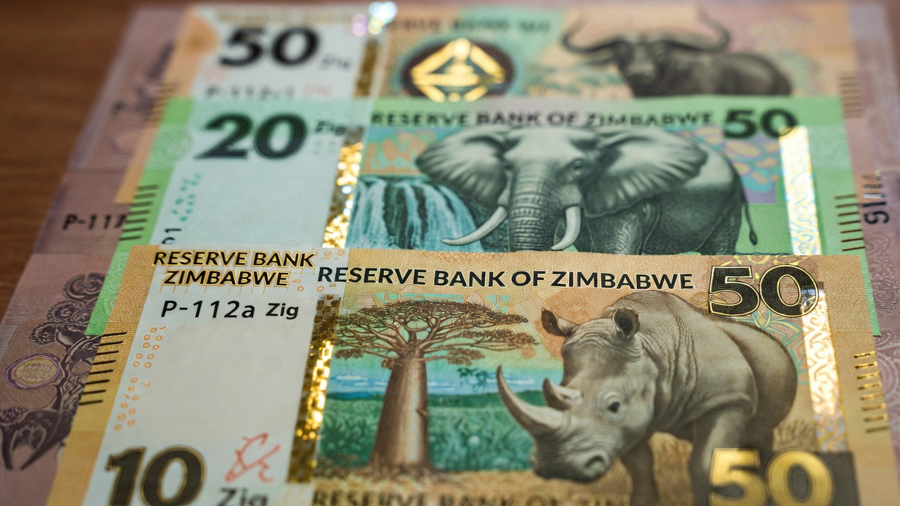 Zimbabwe BiG5 ZiG Banknotes 2026: Complete Collector's Guide