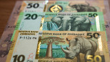 Zimbabwe BiG5 ZiG Banknotes 2026: Complete Collector's Guide