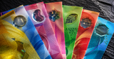 Vietnamese Đồng: Collector's Guide to the Polymer Notes