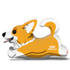 Welsh Corgi EUGY2