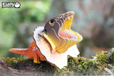 108 Frilled Lizard