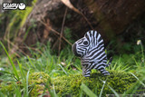 Zebra EUGY2