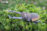 114 Stag Beetle