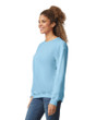 Adult Crewneck Sweatshirt (Light Blue)