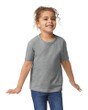 Toddler T-Shirt (Sport Grey)