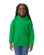 Youth Hooded Sweatshirt (Irish Green)