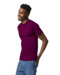 Adult T-Shirt (Maroon)