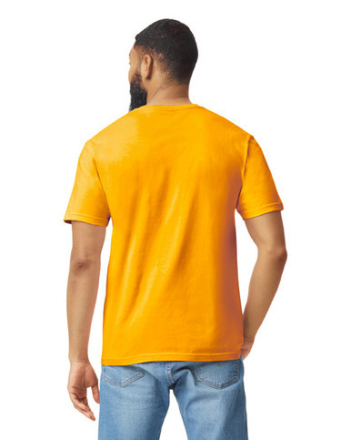 Gildan Men's Softstyle Cotton T-Shirt 2-Pack - Style G64000, 100% Cotton, Large
