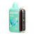 IceyMintz Disposable Vape Geek Bar Pulse 15000