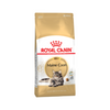 Royal Canin Maine Coon Adult Dry Cat Food