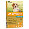 Advocate Flea & Worm Treatment For Dogs weighing 4kg to 10kg