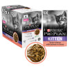 Proplan Salmon Wet Kitten Food  12x 85g Pouche