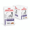 Royal Canin Vet Neutered Adult Maintenance Wet Dog Food