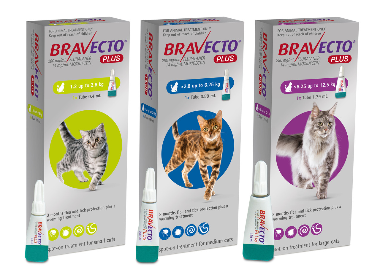 Oral bravecto hot sale for cats