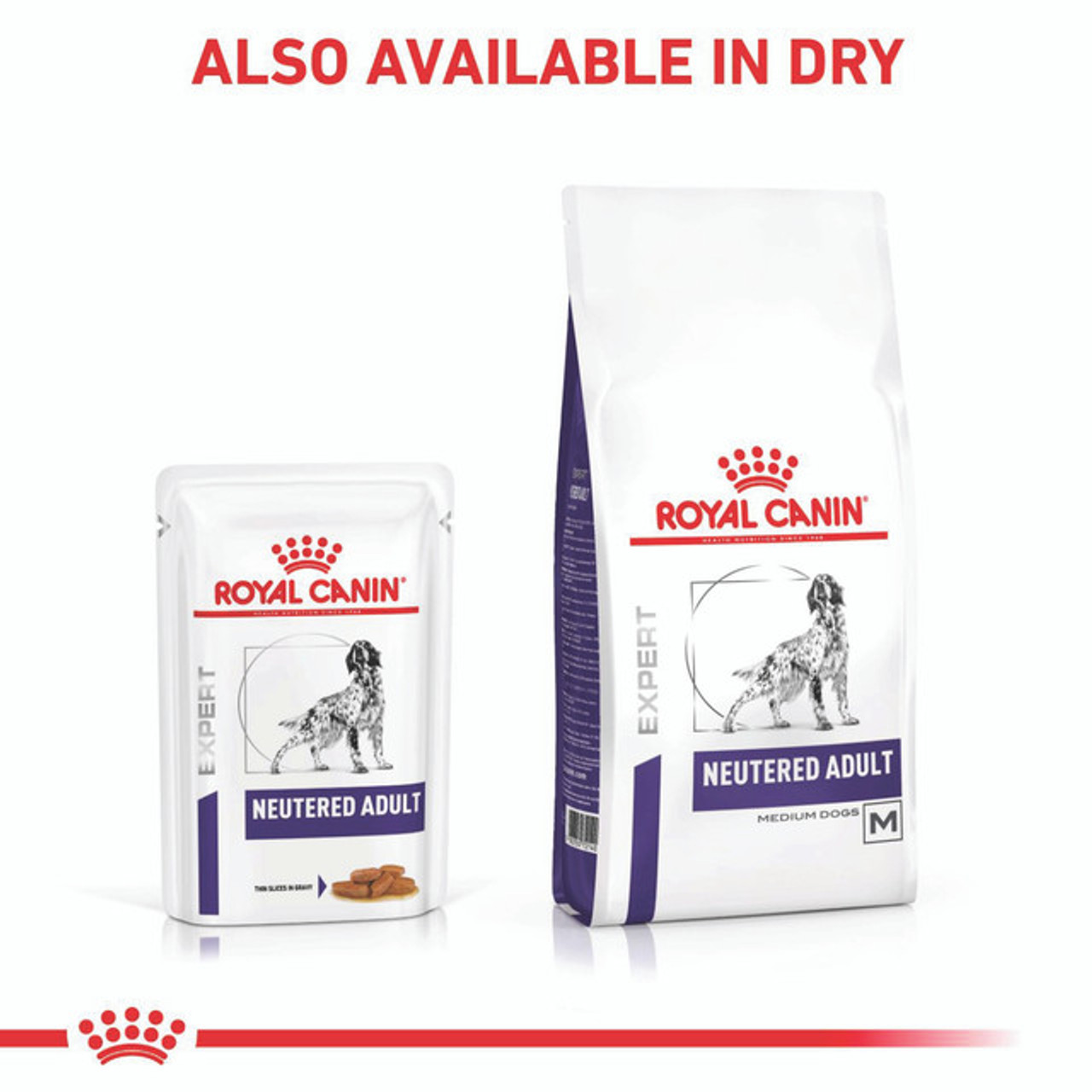 Royal canin shop neutered dog food