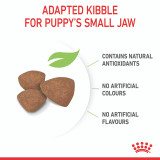 Royal Canin Mini Puppy Dry Food