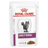 Royal Canin Feline Early Renal (Stage2) 85g Pouch