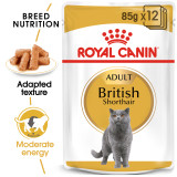 Royal Canin  British Short Hair 85g Wet Food