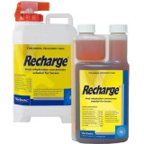 Recharge Horse Liquid