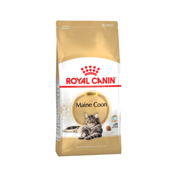 Royal Canin Maine Coon Adult Dry Cat Food