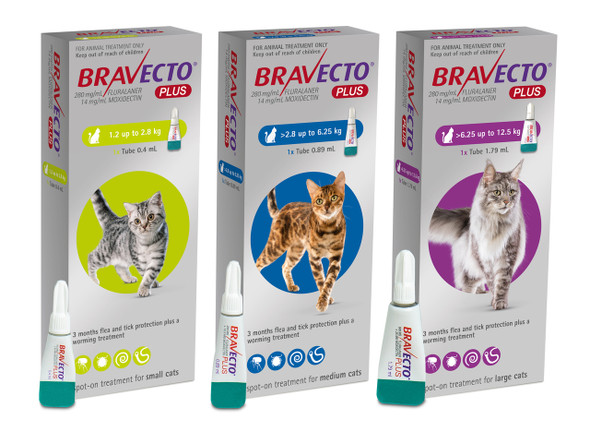 Bravecto PLUS Flea & Worm for Cats