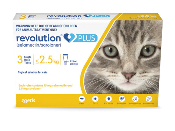 Revolution Plus Flea Treatment for Cats