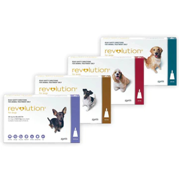 Revolution Flea Treatment for Dogs