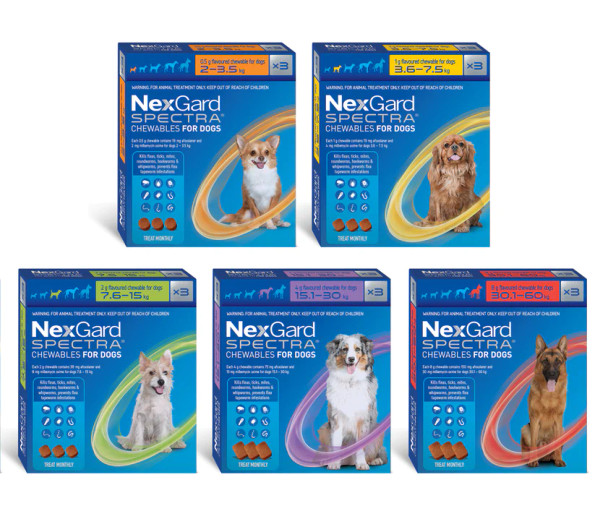 NexGard Spectra Flea & Worm Treatment for Dogs