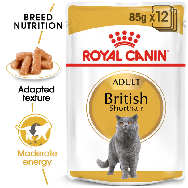 Royal Canin  British Short Hair 85g Wet Food