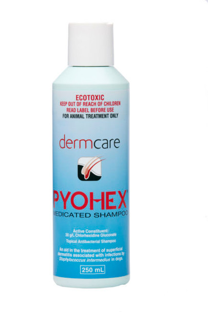 Coatex medicated discount shampoo reviews