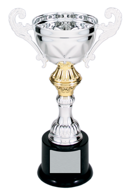 Silver Metal Corporate Cup Trophy on a Black Marble Base