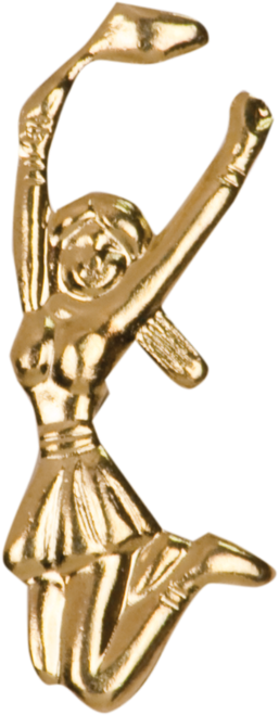 Cheer Chenille Pin