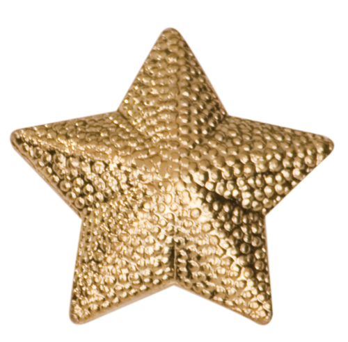 Star Chenille Pin