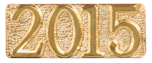 Year Chenille Pin (2015)