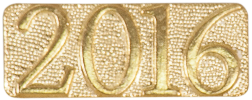 Year Chenille Pin (2016)