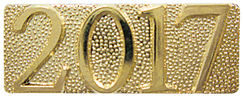 Year Chenille Pin (2017)