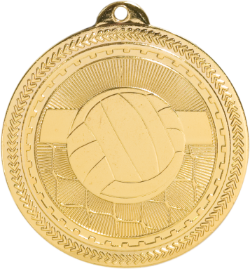 Volleyball BriteLazer Medal