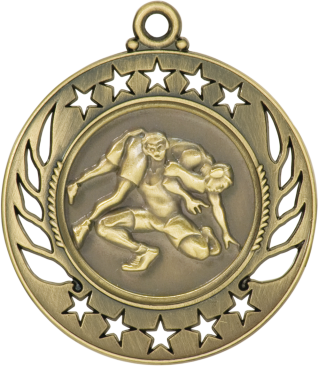 Wrestling Galaxy Medal