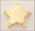 Gold Star Paperweight