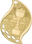 Victory Cup Flame Medal