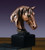 Small Horse Head