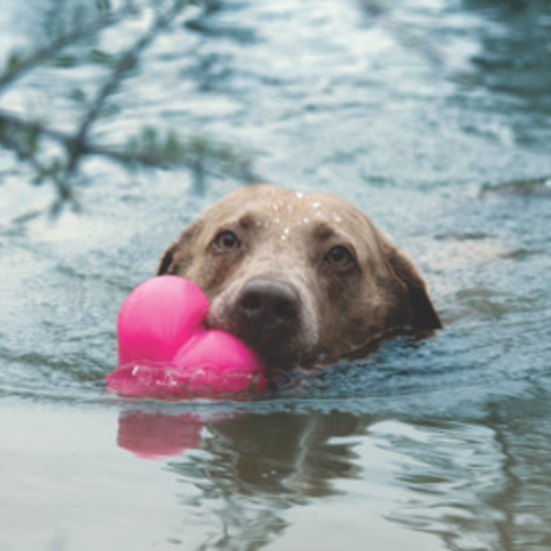 Enjoy water play with your best friend as the Dawg-Hart XL floats.