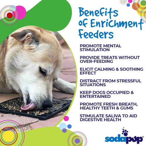 Benefits of Enrichment Feeders information - mental stimulation, calming and soothing, keeps a dog busy for an extended amount of time, oral health and digestive system.