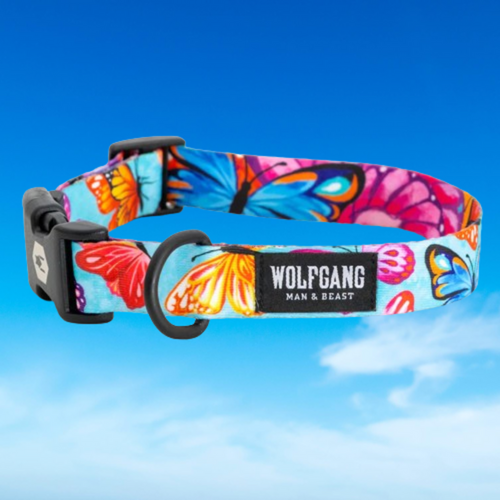 Photo of Wolfgang FlutterColor Dog Collar on sky background.  Highlighting the brand.