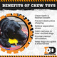 Explore how our chew toys contribute to your dog's dental health and overall happiness.