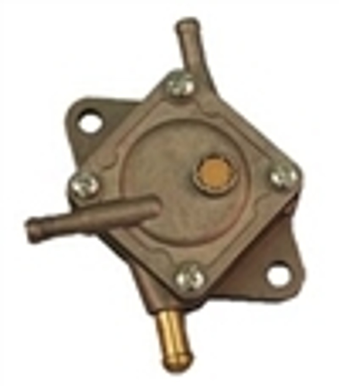 Carburetor, Intake & Fuel Pump