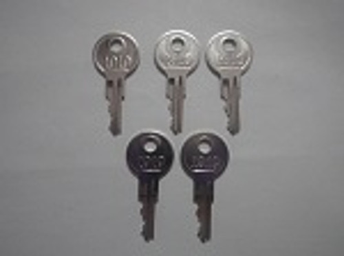 EZGO Golf Cart 1982-2009 Gas or Electric Ignition Key Replacement | 5 Keys