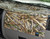 Audi TT Quattro 2000-2006 Dash Board Cover Mat Camo Migration Pattern
