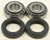 1999 Harley FLTRI Road Glide Wheel Bearing and Seal Kit