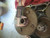 EZGO 4 Cycle Gas Golf Cart 1998.5-2011 High Speed Gear Set 6:1 | Fast Speed